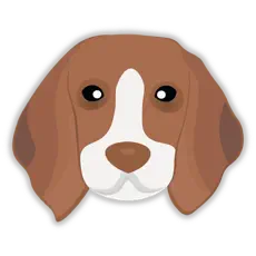 Apps de messagerie instantanée luxembourg - Beagle IM pour MacOS - ChatLux - XMPP